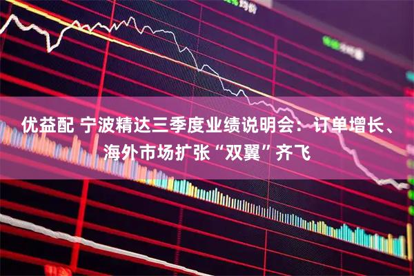 优益配 宁波精达三季度业绩说明会：订单增长、海外市场扩张“双翼”齐飞
